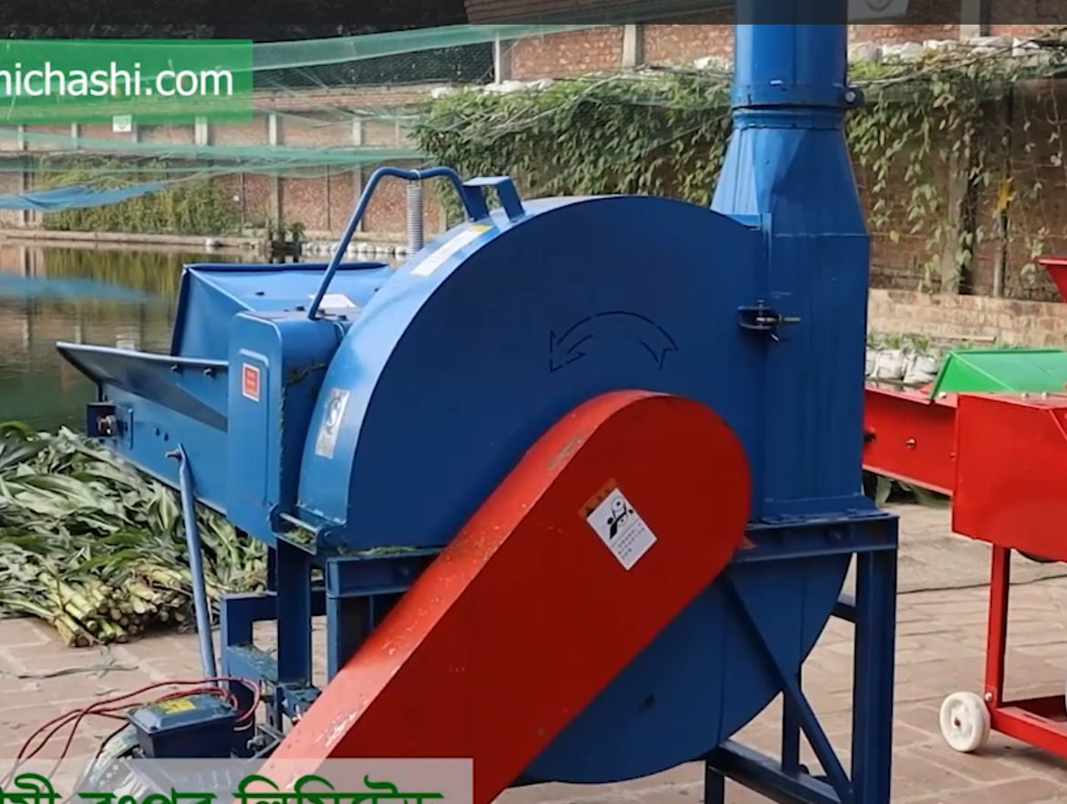 Uses of Kneading Cutting Crushing Machine in Bangladesh