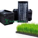 Hydrophonic Tray Price in Bangladesh