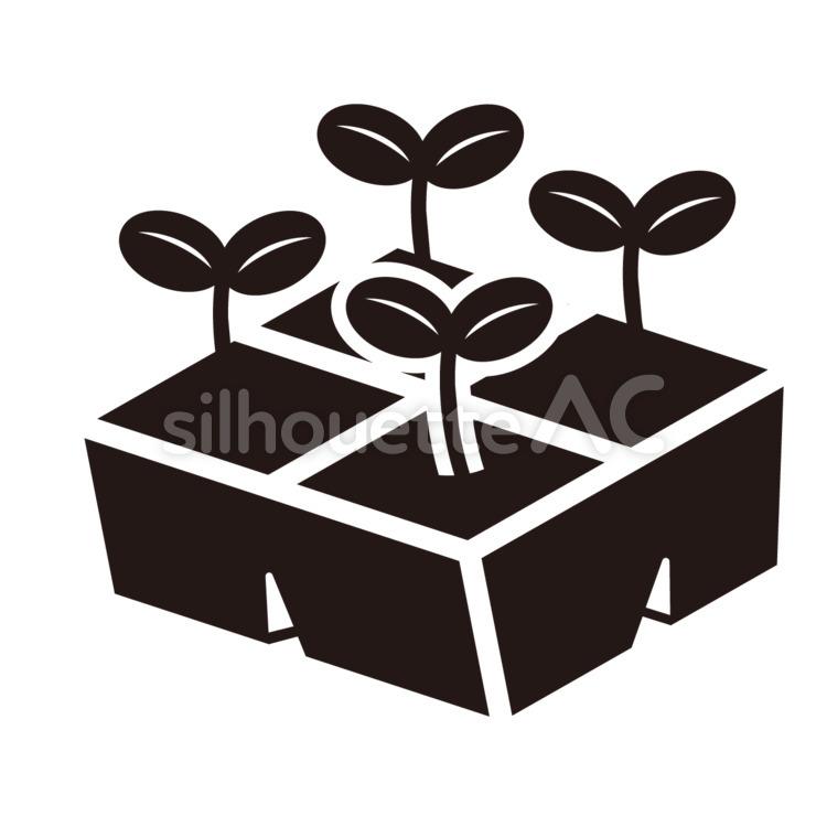 Seed Tray