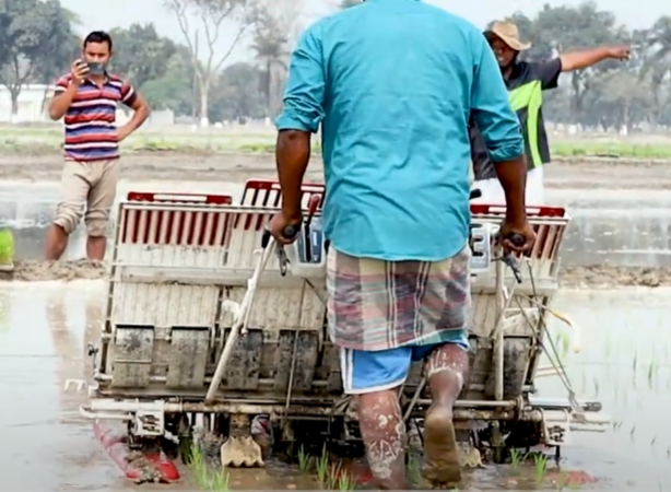 Uses of Automatic Rice Transplanter in Bangladesh